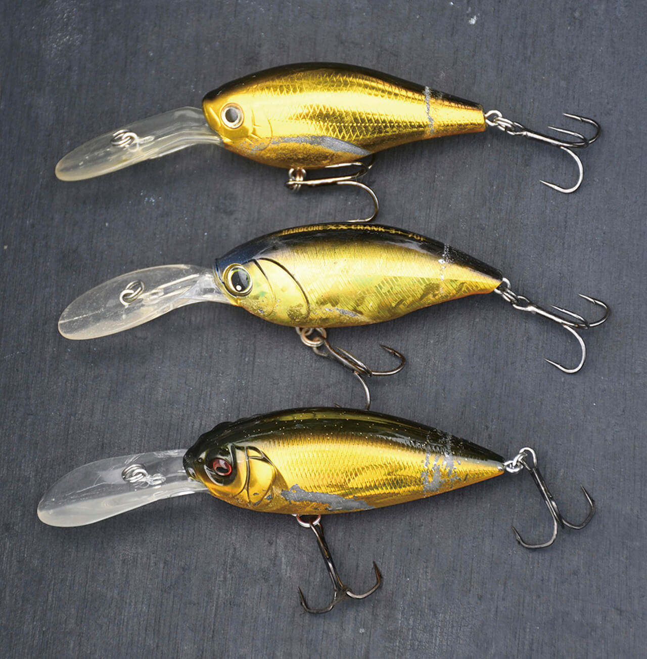 ｜ブレずに巻き続けるとロクマルが釣れる⁉体育会系巻き物アングラーのストロングスタイルとは