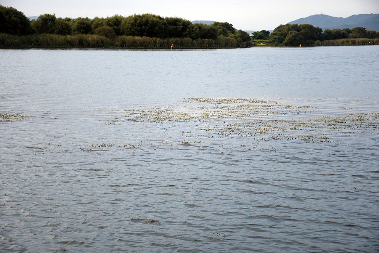 ｜ブレずに巻き続けるとロクマルが釣れる⁉体育会系巻き物アングラーのストロングスタイルとは