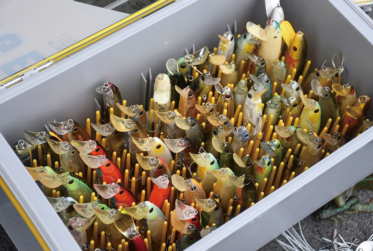 ｜ブレずに巻き続けるとロクマルが釣れる⁉体育会系巻き物アングラーのストロングスタイルとは