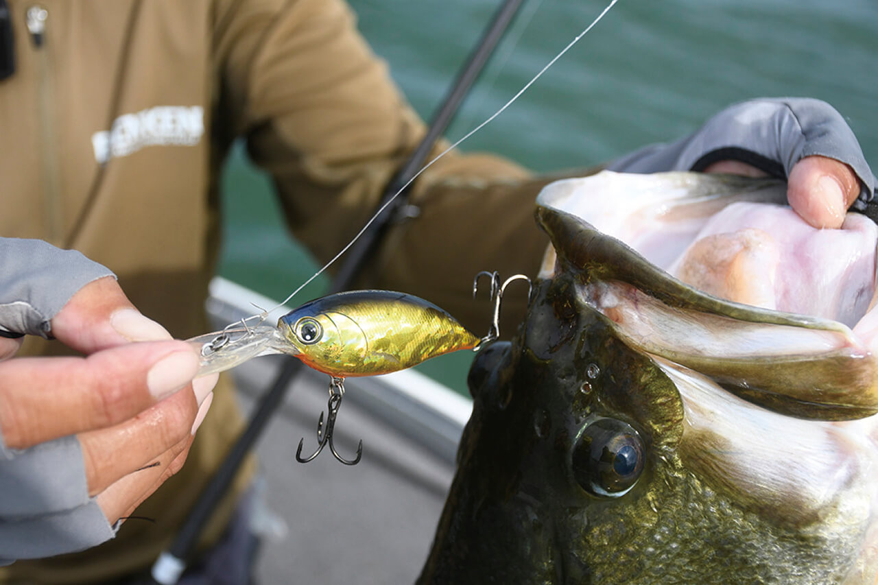 ｜ブレずに巻き続けるとロクマルが釣れる⁉体育会系巻き物アングラーのストロングスタイルとは