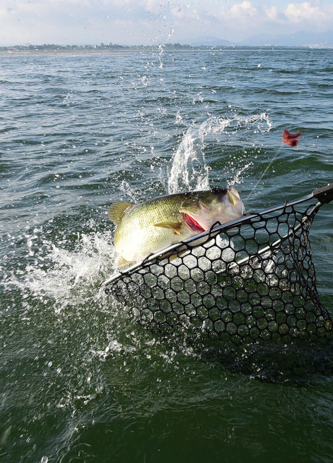 ｜琵琶湖艇王の帰還! 現在進行形のリアル琵琶湖攻略！