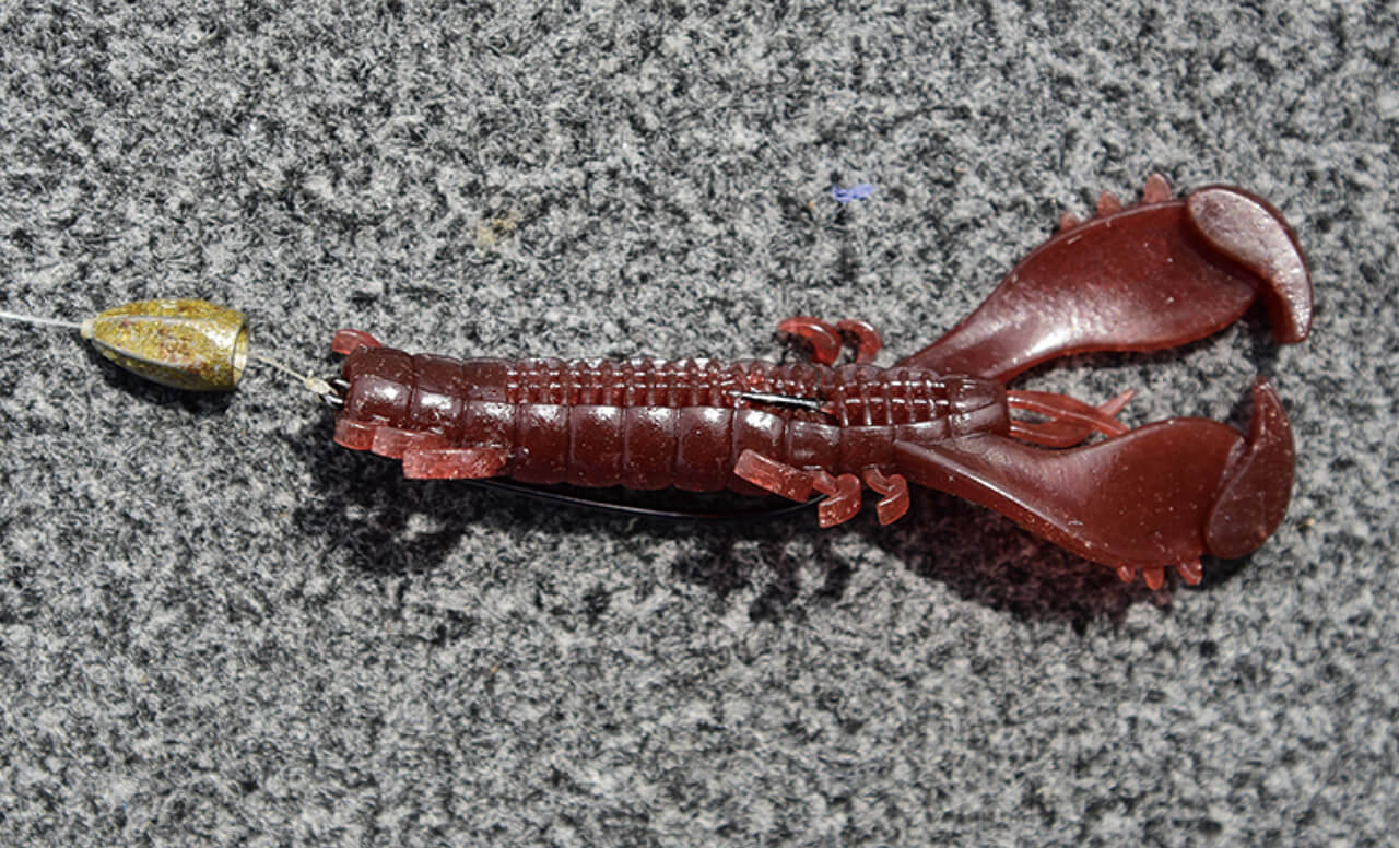 |琵琶湖艇王の帰還! 現在進行形のリアル琵琶湖攻略!