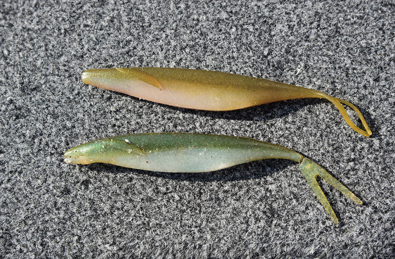 ｜琵琶湖艇王の帰還! 現在進行形のリアル琵琶湖攻略！