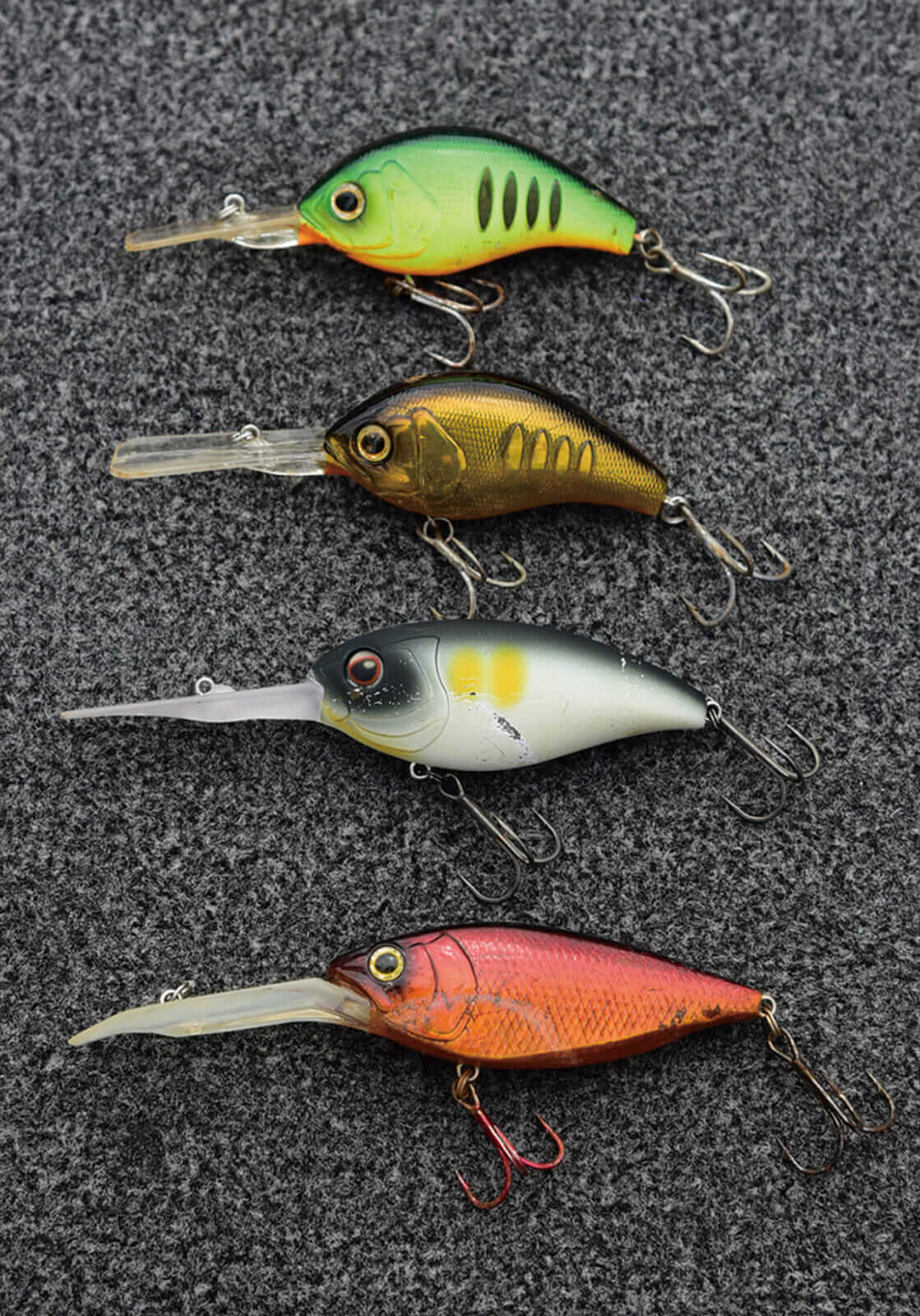 ｜琵琶湖艇王の帰還! 現在進行形のリアル琵琶湖攻略！