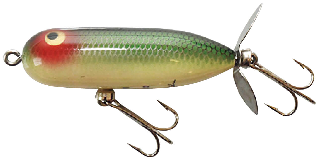 ｜チャックヘドン、琵琶湖を釣る