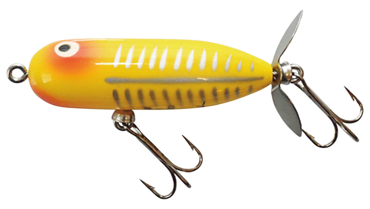 |チャックヘドン、琵琶湖を釣る