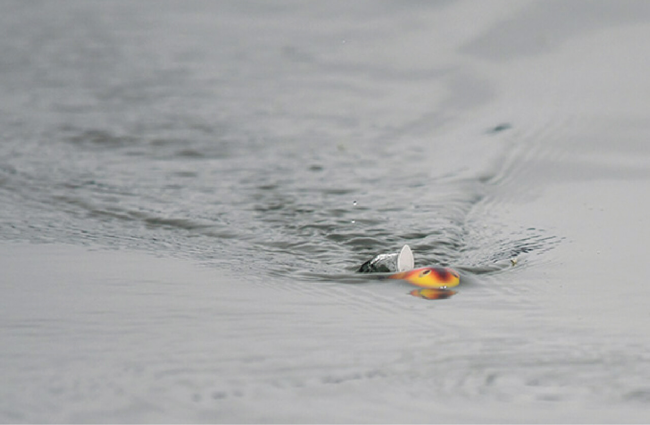 ｜チャックヘドン、琵琶湖を釣る