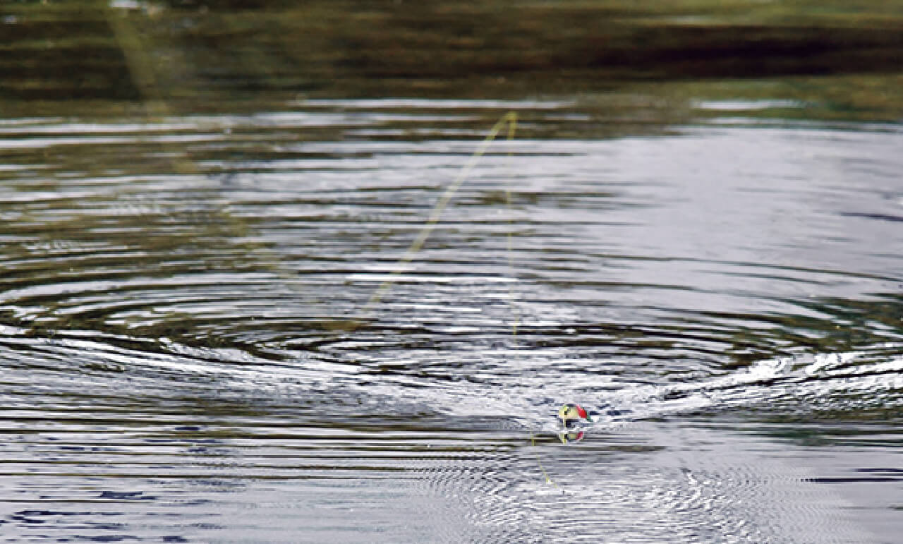 ｜チャックヘドン、琵琶湖を釣る