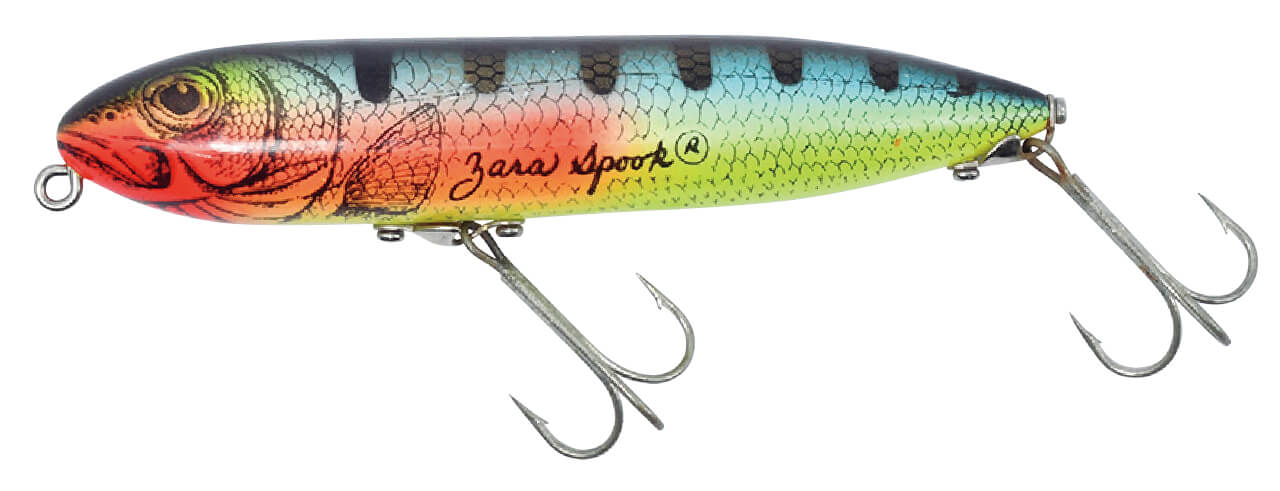 ｜チャックヘドン、琵琶湖を釣る