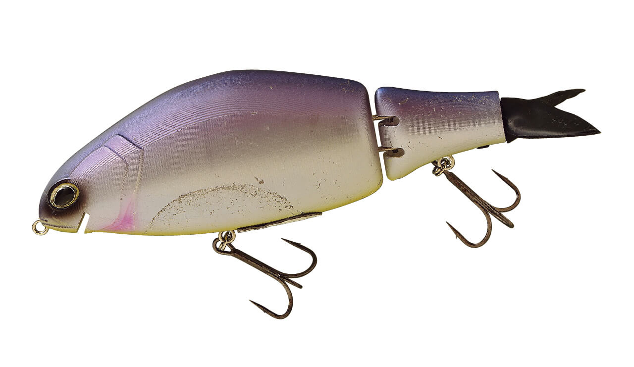 |DRT琵琶湖裏対談 ぼくたちが琵琶湖を目指した理由