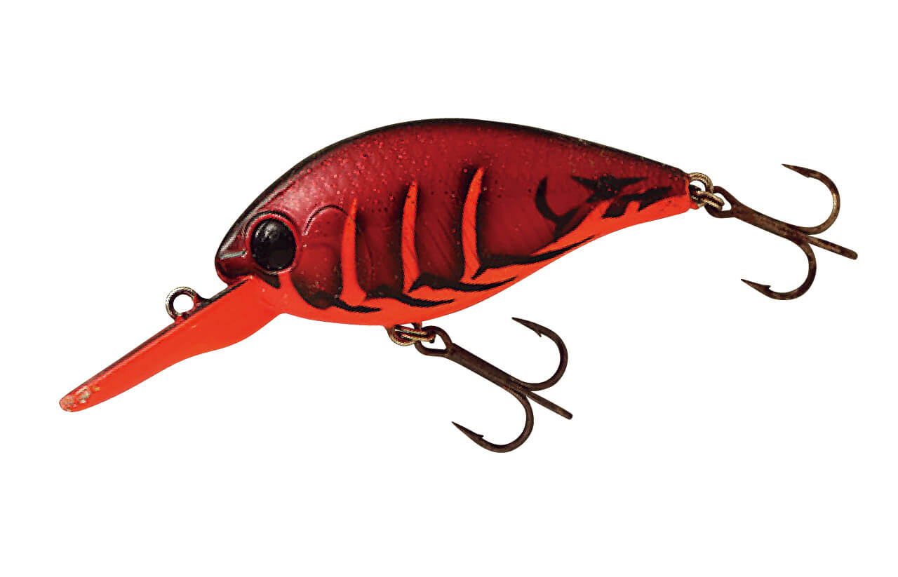 |DRT琵琶湖裏対談 ぼくたちが琵琶湖を目指した理由