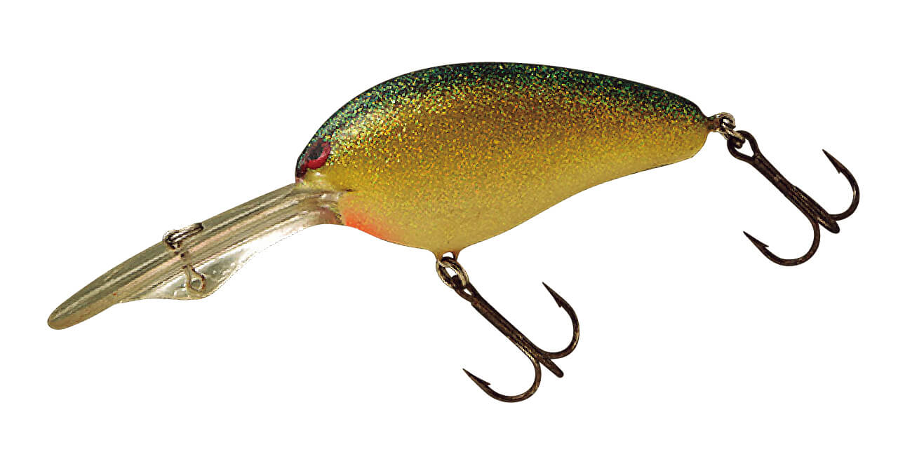 ｜DRT琵琶湖裏対談 ぼくたちが琵琶湖を目指した理由