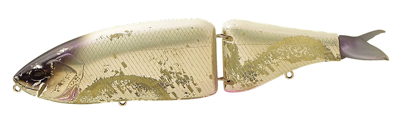 |DRT琵琶湖裏対談 ぼくたちが琵琶湖を目指した理由