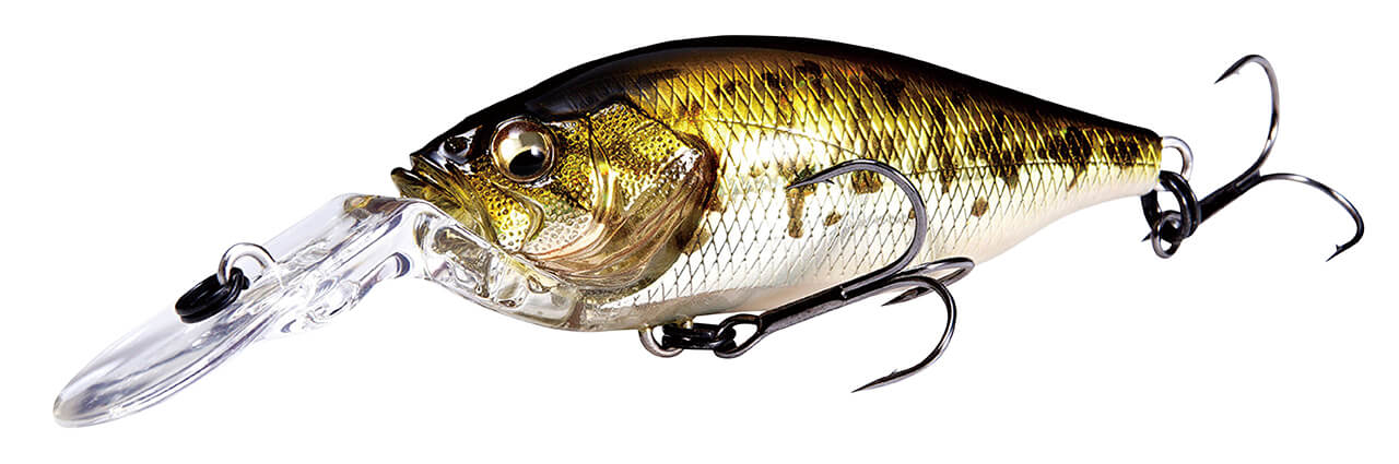 ｜琵琶湖でバス釣りするならまずは「ガイド」がおススメ！琵琶湖バスフィッシングの現実を人気ガイドが解説！