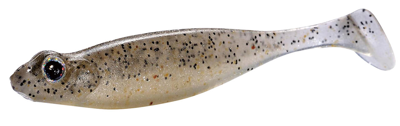 ｜琵琶湖でバス釣りするならまずは「ガイド」がおススメ！琵琶湖バスフィッシングの現実を人気ガイドが解説！