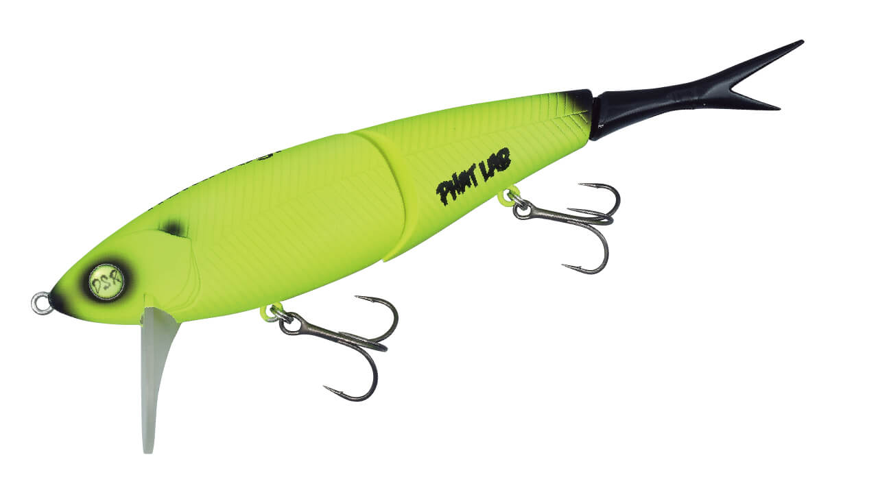 ｜デッドスロー巻きといえばファットラボ！真冬の琵琶湖でデカバスに効く『ネコソギ』とは⁉