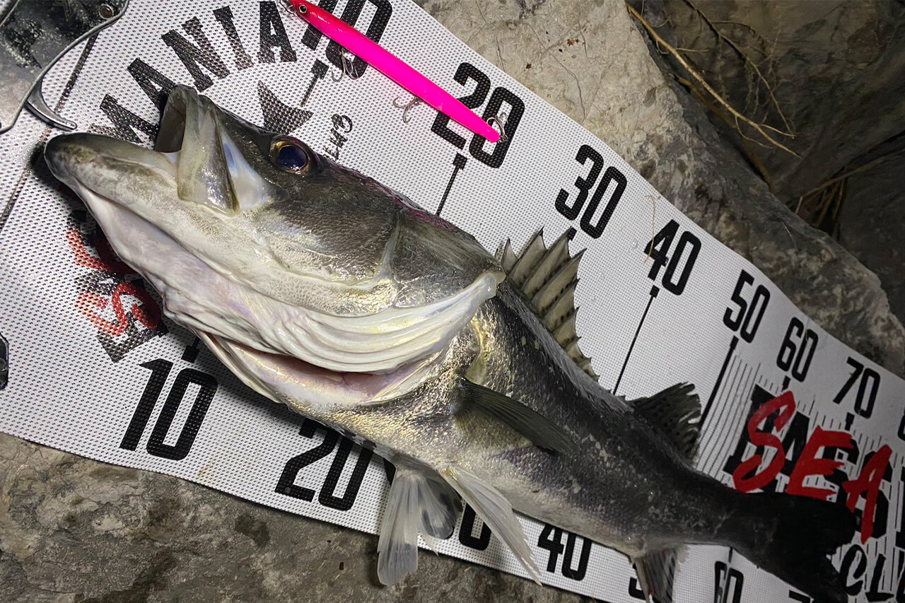 ｜「これからのバチルアーの中心」シマノの『ランザ』の性能がヤバすぎる件について。