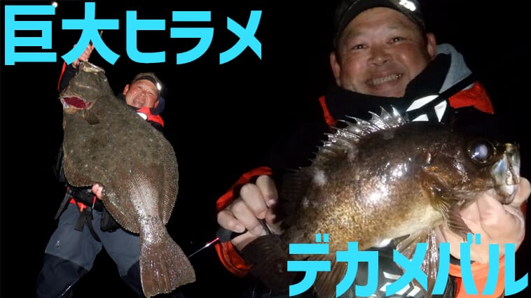 【デカすぎるだろ…】アジングで88cmのヒラメが飛び出した＆冬のデカメバル狙いに「スプリットショットリグ」とは？【今日もいいチョーシ】