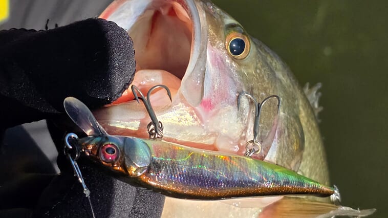 カラーは48種類以上⁉ 世界に誇る日本製ルアー「ワンテン」とは【1月10日はワンテンの日!】