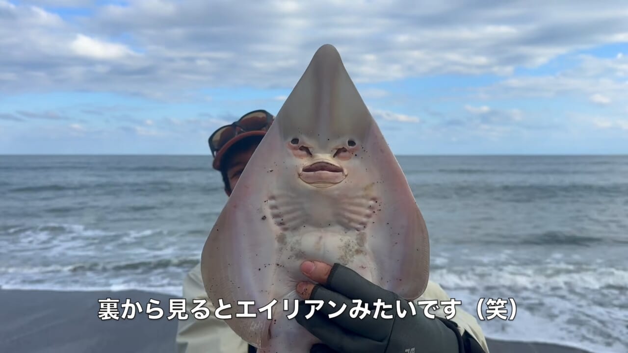 ｜「なんだこの魚」「宇宙人みたい」砂浜で釣れたのはまさかの…。『エイリアン顔』の魚の正体とは？