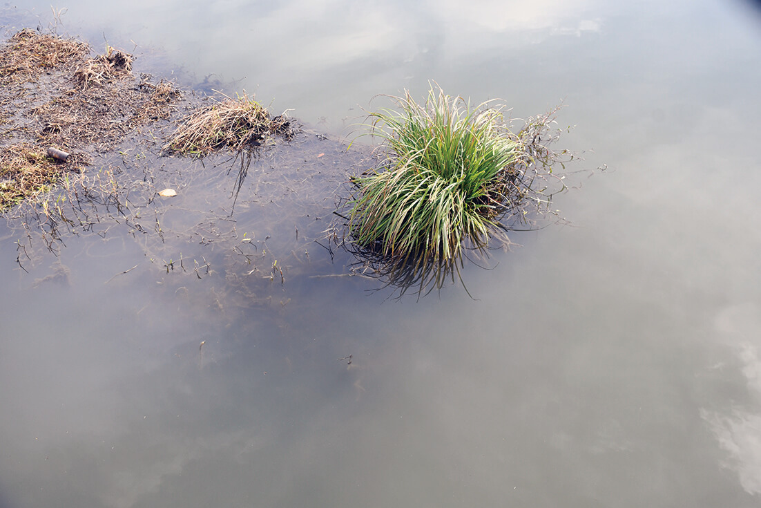 ｜真冬のバスを捕らえる「ゼロ距離戦法」