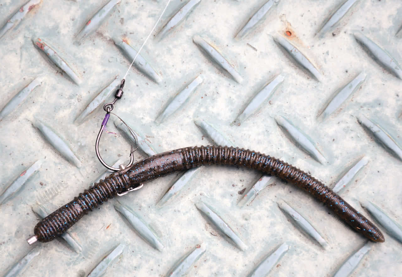 ｜オーバー10m!津久井湖のスーパーロコが明かすディープ攻略法と信頼のロッド