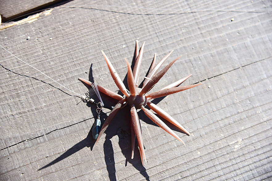 ｜【真っ赤なのに黒⁉】大人気ルアーメーカーのロッドに新展開！いつまでも使える高次元ハイスペックロッド誕生!!