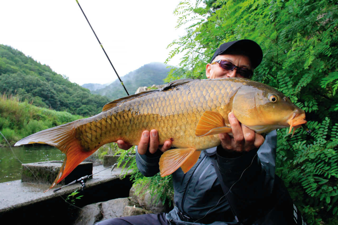 ｜『スモールプラグスペシャル』復活秘話⁉村上晴彦が語る!!