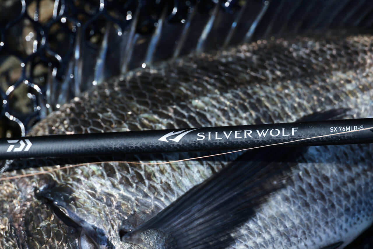 ｜【チニング界隈が大注目するNEWアイテム】シルバーウルフSX＆CTをもりぞーが解説。各地のフィッシングショーで要チェック！