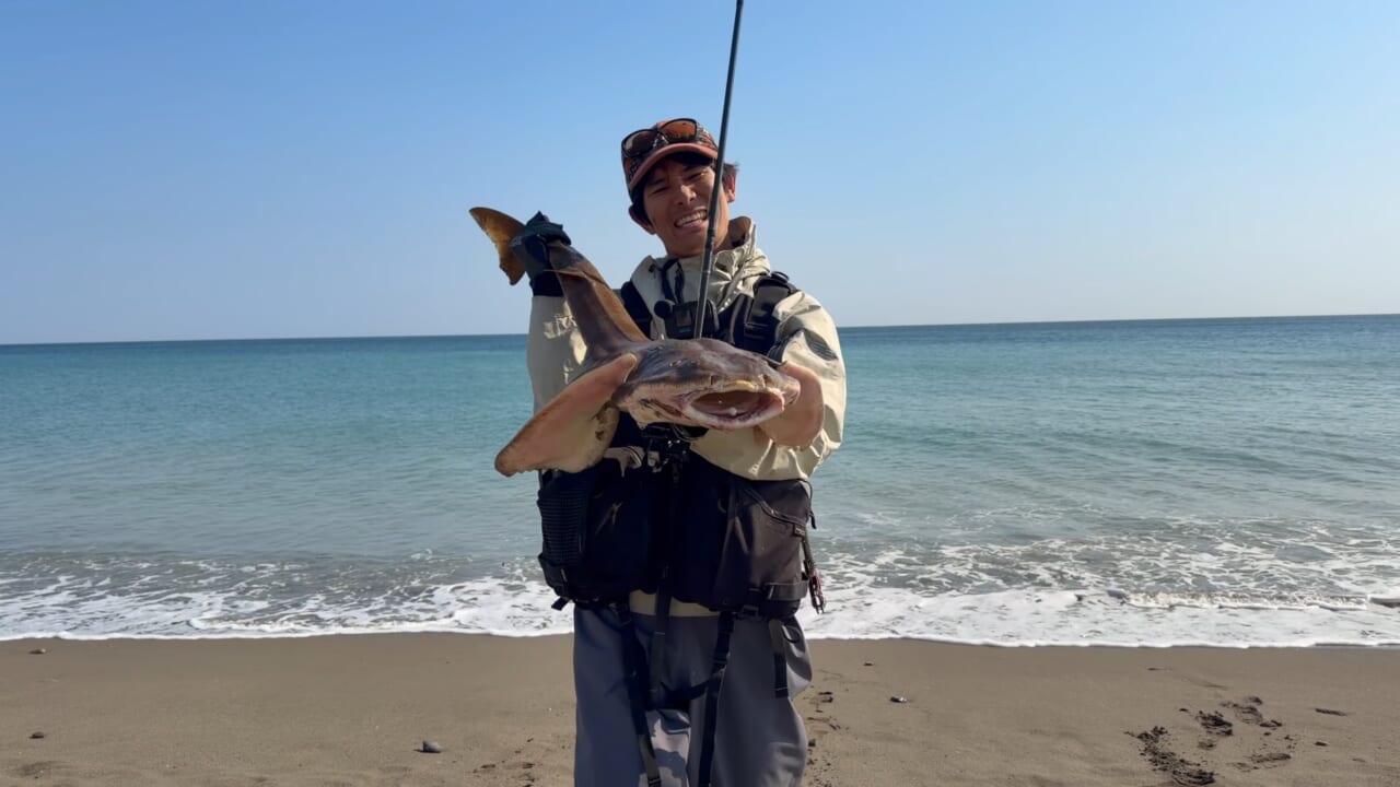 ｜「え、何コレ…」「すごい、デカい」砂浜から釣り上げられた魚の正体。まさかの日本記録級に驚愕。