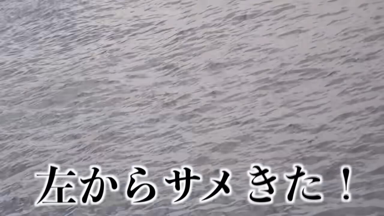 ｜「おいおい、マジかよ」「ワイヤーを切るモンスター」“緑色の謎の球体”を海に投入した結果が驚愕すぎた。