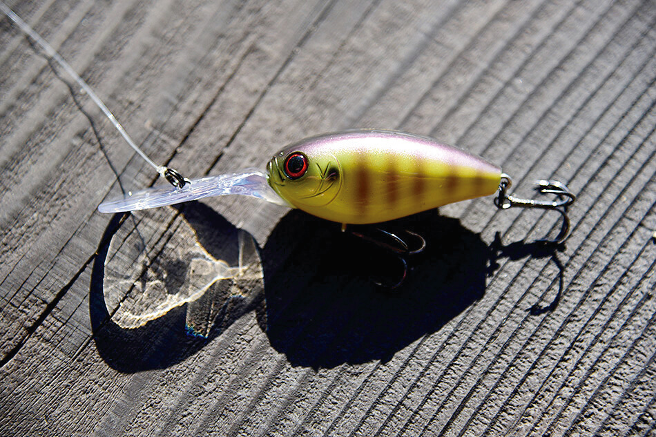 ｜【真っ赤なのに黒⁉】大人気ルアーメーカーのロッドに新展開！いつまでも使える高次元ハイスペックロッド誕生!!