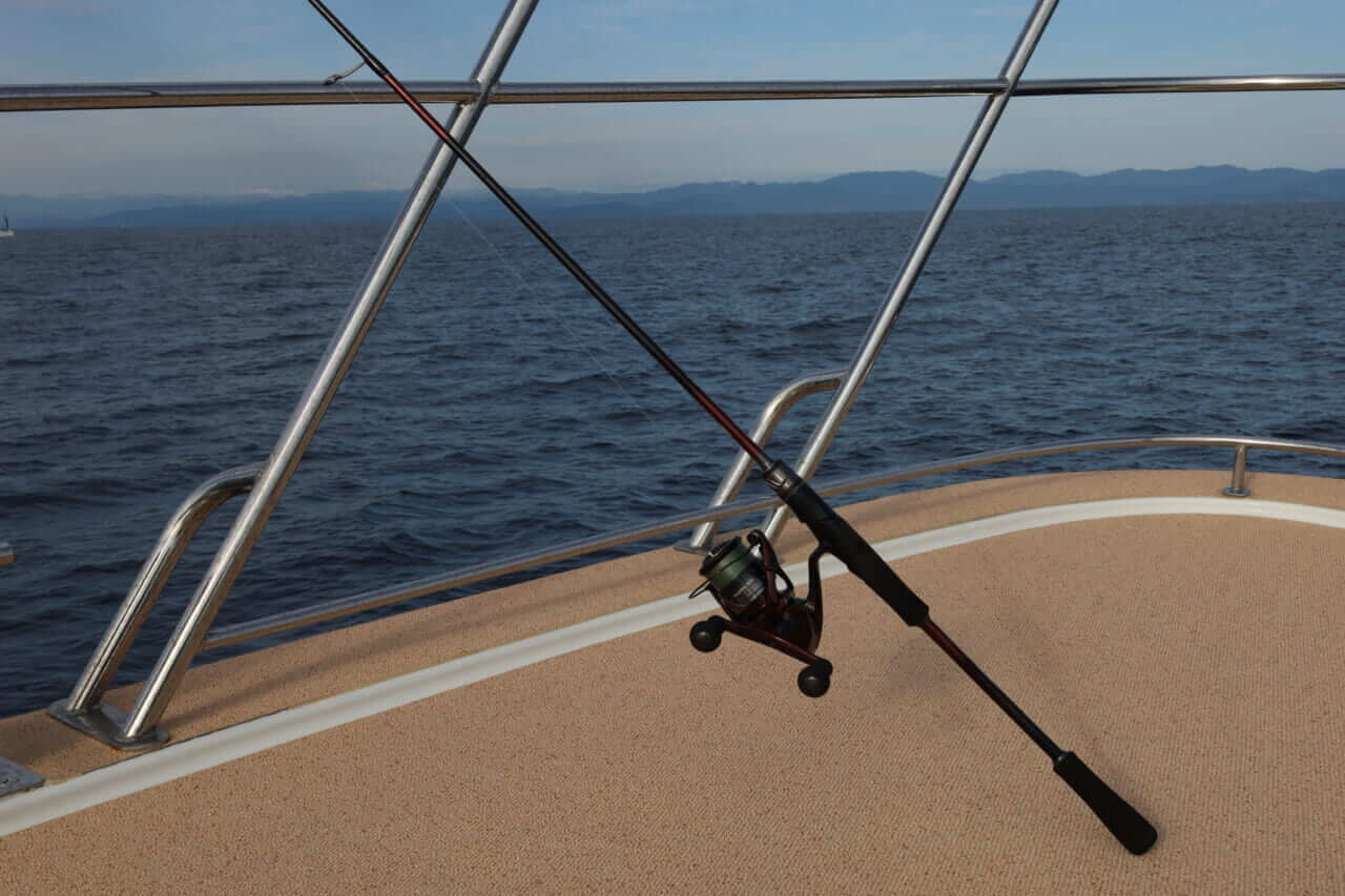 ｜「まさかの展開…」ティップエギングで良型アオリイカ連発！ 【ボートエギングファン Vol.2 in 三重県・伊勢志摩沖】