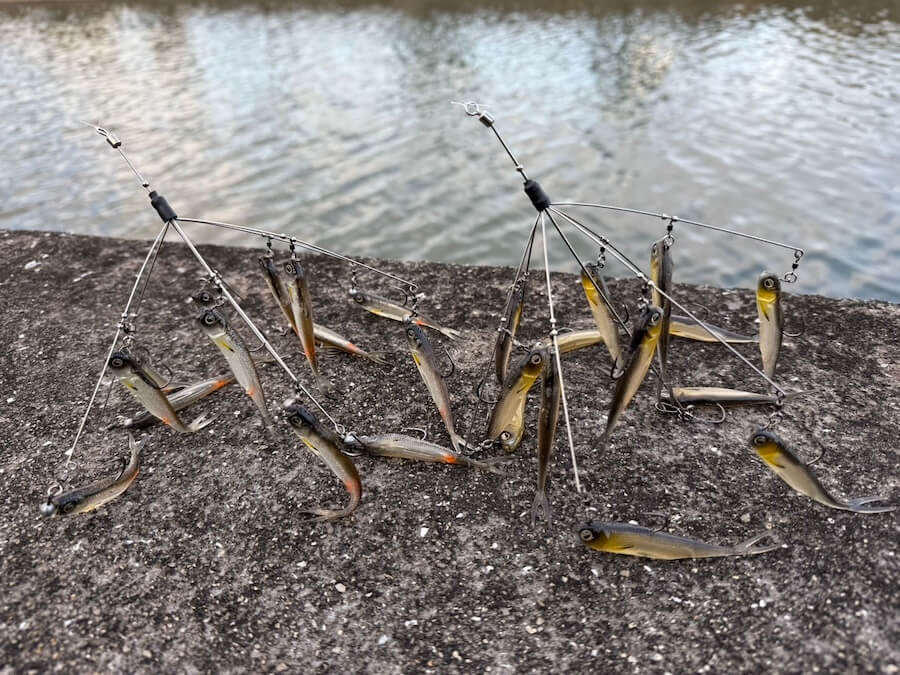 ｜『これは破壊力MAX！』早春がベストシーズンのヤバすぎる釣り！ネクストレベルに行きたいアングラーは抑えておきたいのが…。