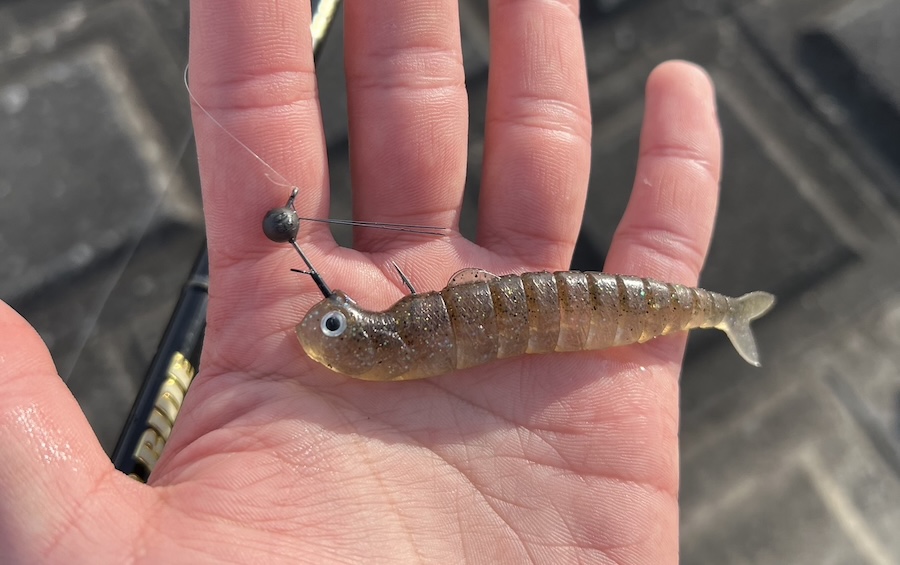 ｜「ぜひ試してみて」超オススメの釣りが捗る収納方法。オフシーズンの間に小物をしっかり仕分け！【鈴木翔のIT’S SHO TIME !!!】