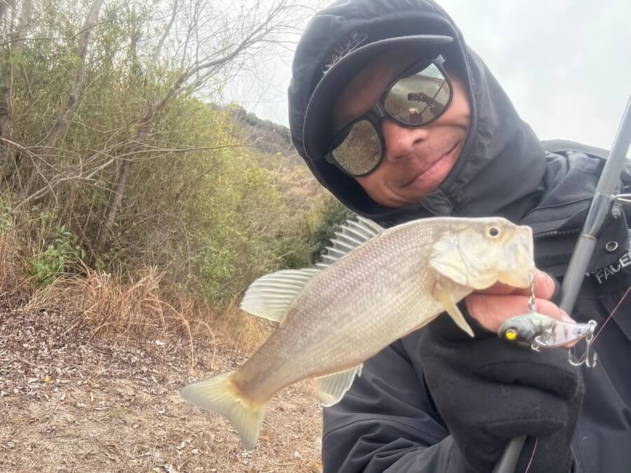 ｜真冬のため池攻略法を伝授。フィールドの選び方からオススメルアーまで。これさえ読めば連発間違いなし!?