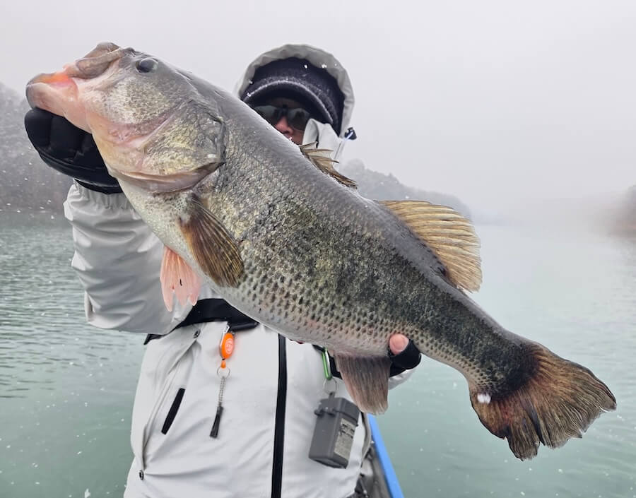 ｜今がベストシーズン！？ 関東でロクマルを狙って釣れるのはこの湖。 釣り方はとにかくスローに、そしてふわふわと。ヒットルアーも公開しちゃいます。