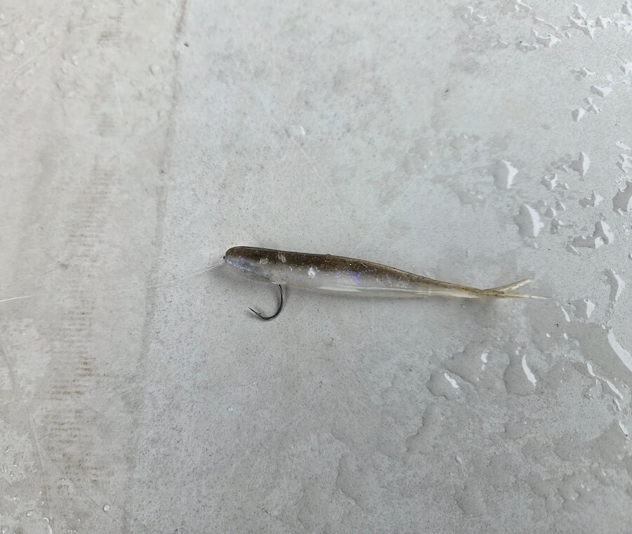 ｜今がベストシーズン！？ 関東でロクマルを狙って釣れるのはこの湖。 釣り方はとにかくスローに、そしてふわふわと。ヒットルアーも公開しちゃいます。