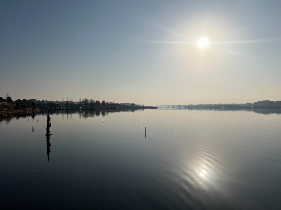 |1スポットで二人で7バイト。グッドサイズキャッチに50アップのバラシも!「自分はコイだけでしたが笑」【鈴木翔のIT’S SHO TIME !!!】