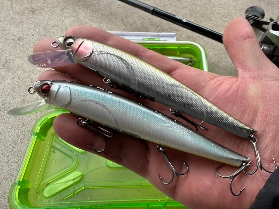 |「キモはデッド・デッド・フローティング」板オモリやフックなど、釣れるセッティングを紹介。護岸際の大興奮のジャーキングゲームを堪能あれ!