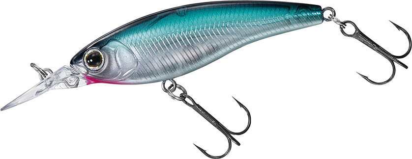 ｜【初場所攻略】バス釣り最後の秘境⁉「柳川クリーク」に佐々木勝也が挑む!!