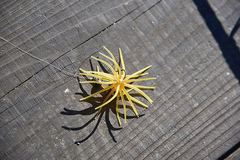 ｜【真っ赤なのに黒⁉】大人気ルアーメーカーのロッドに新展開！いつまでも使える高次元ハイスペックロッド誕生!!