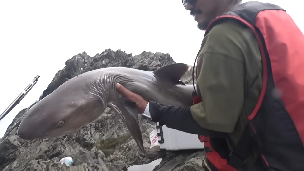｜「おいおい、マジかよ」「ワイヤーを切るモンスター」“緑色の謎の球体”を海に投入した結果が驚愕すぎた。