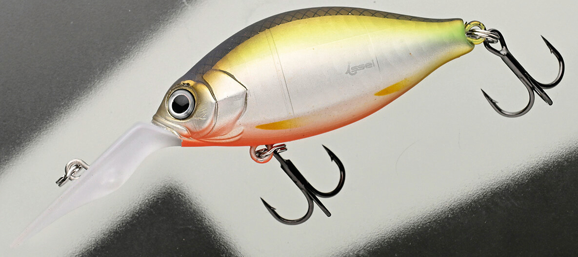 |霞ヶ浦水系で活躍!村上晴彦が実際に投げた一誠ルアーは⁉