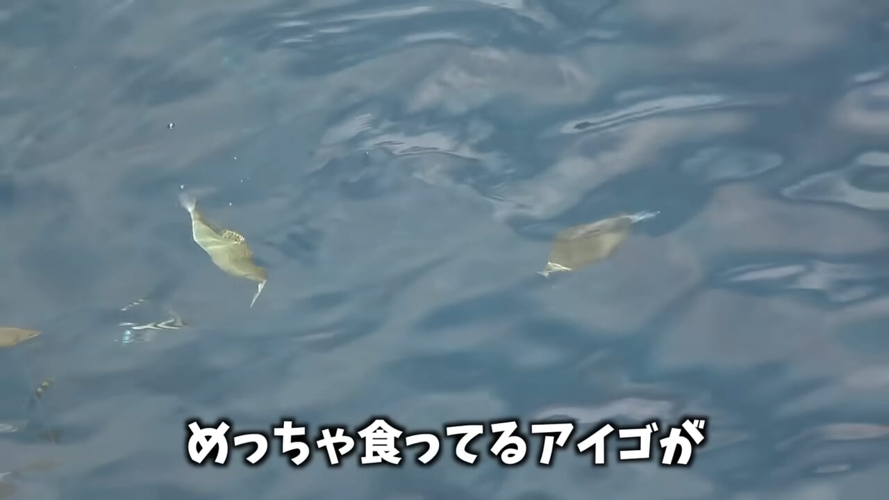 ｜「おいおい、マジかよ」「ワイヤーを切るモンスター」“緑色の謎の球体”を海に投入した結果が驚愕すぎた。