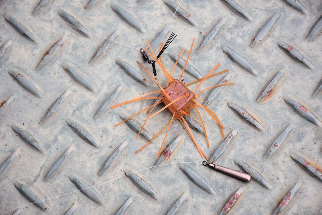 ｜オーバー10m!津久井湖のスーパーロコが明かすディープ攻略法と信頼のロッド
