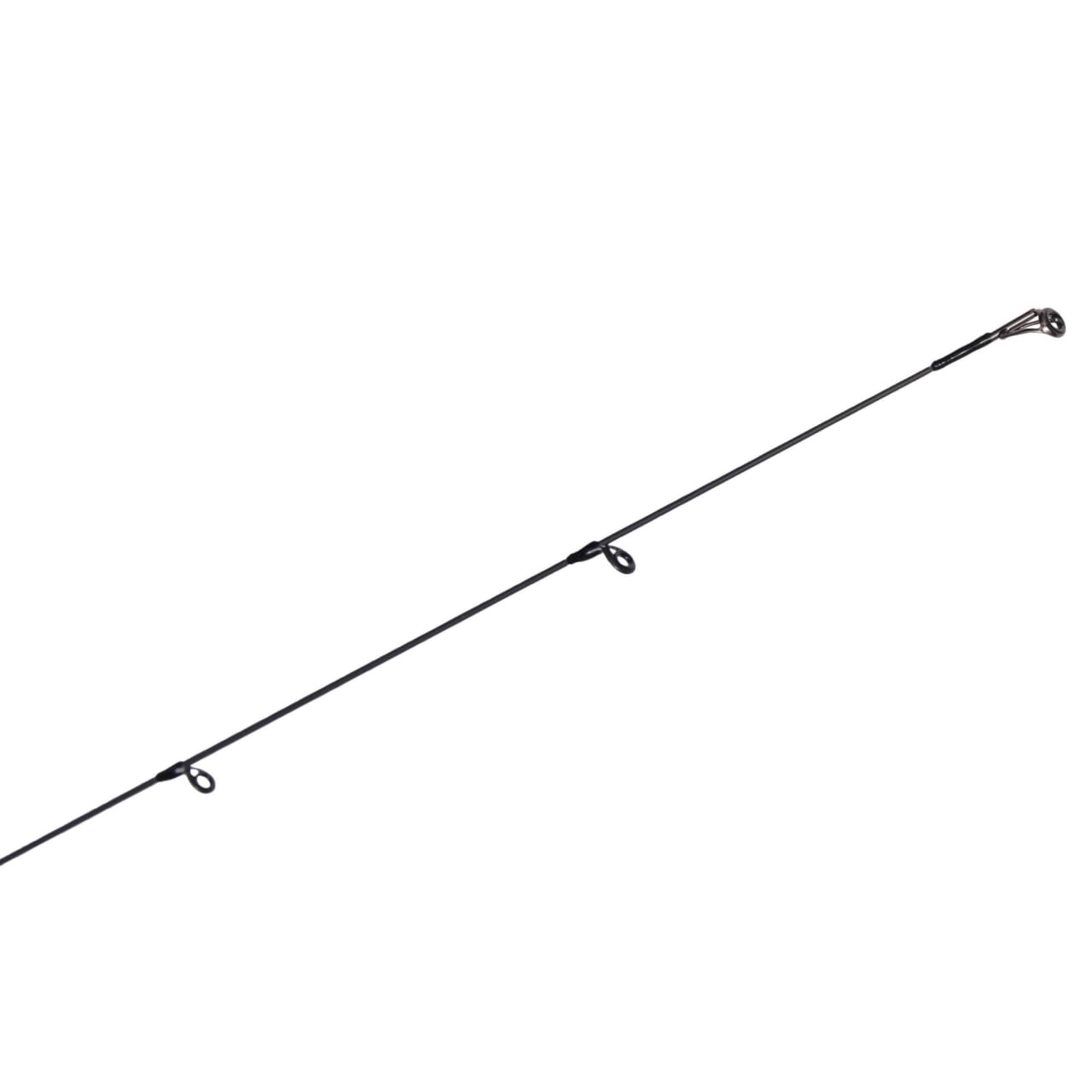 ｜隠れた名作「エギングロッド」がフルモデルチェンジ!!ヒイカからモンスターまで対応するラインナップも魅力!!