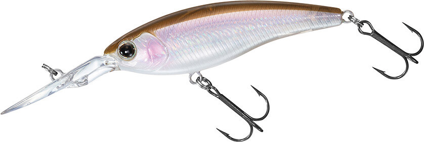 ｜【初場所攻略】バス釣り最後の秘境⁉「柳川クリーク」に佐々木勝也が挑む!!