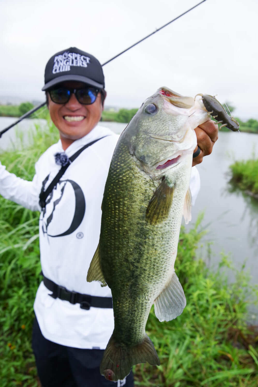 ｜メガバス2026年NEWアイテムが遂に発表！新作ドッグXに復活のオカシラヘッド⁉注目アイテムまとめ