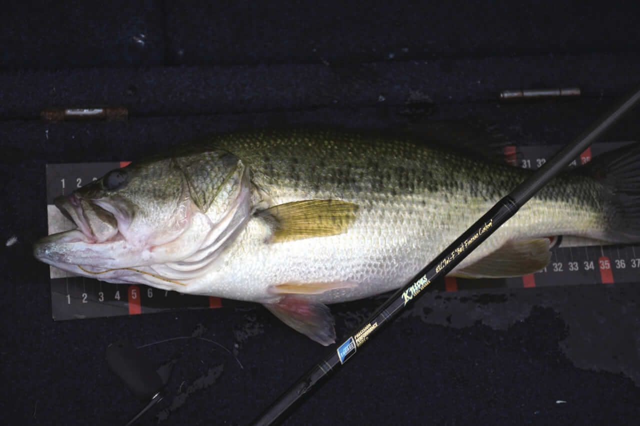 ｜オーバー10m!津久井湖のスーパーロコが明かすディープ攻略法と信頼のロッド
